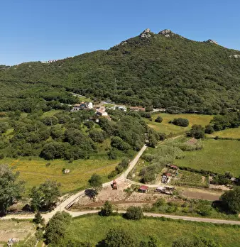 Foto annuncio 7
