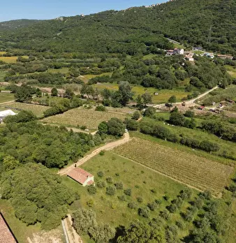 Foto annuncio 4
