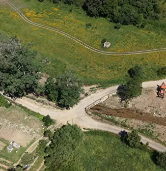 Foto annuncio 5