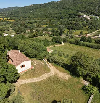 Foto annuncio 3