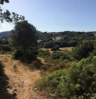 Foto annuncio 9
