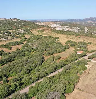 Foto annuncio 10