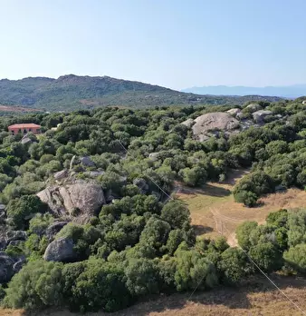 Foto annuncio 4