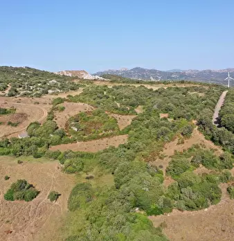 Foto annuncio 5