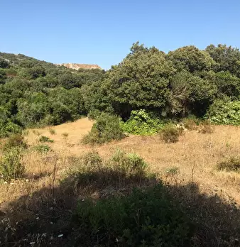 Foto annuncio 12