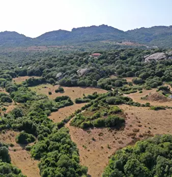 Foto annuncio 6