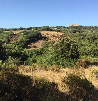 Foto annuncio 13