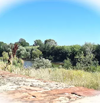 Foto annuncio 11