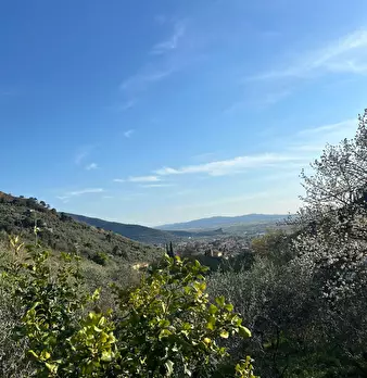 Foto annuncio 25