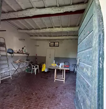 Foto annuncio 11