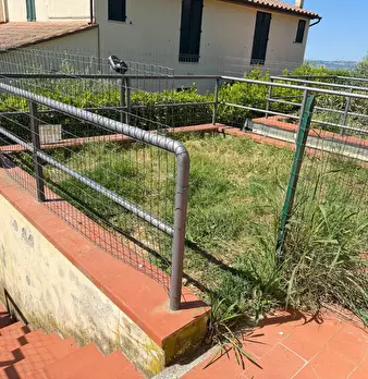 Foto annuncio 27