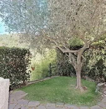 Foto annuncio 34