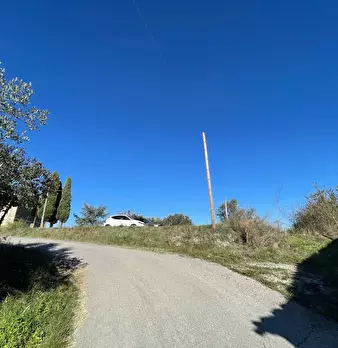 Foto annuncio 21
