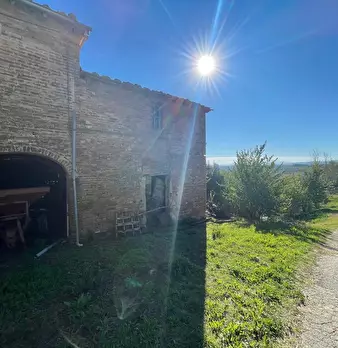 Foto annuncio 20