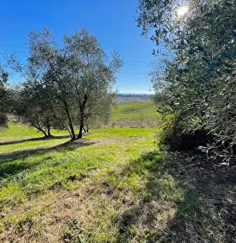 Foto annuncio 6