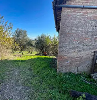 Foto annuncio 26