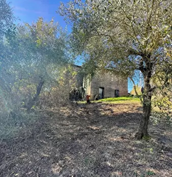 Foto annuncio 7