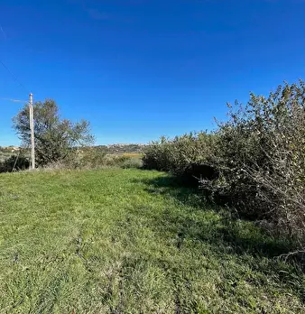 Foto annuncio 28