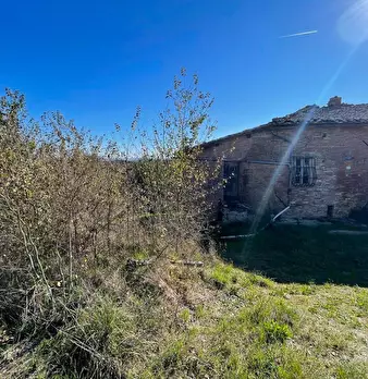Foto annuncio 29