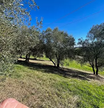 Foto annuncio 9