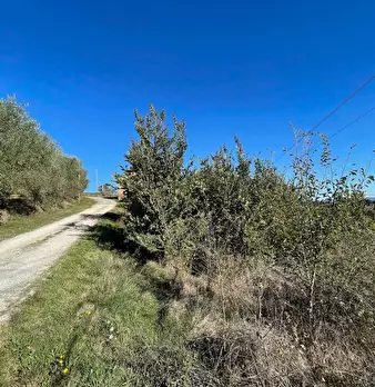 Foto annuncio 15