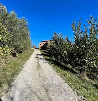 Foto annuncio 16