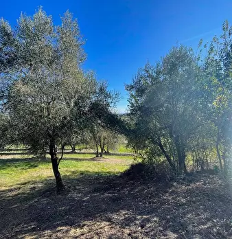 Foto annuncio 4