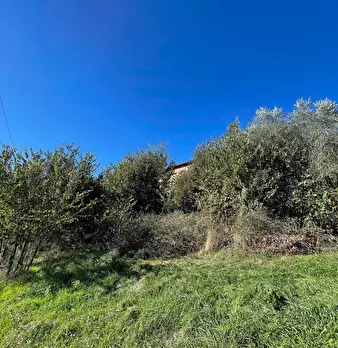 Foto annuncio 10