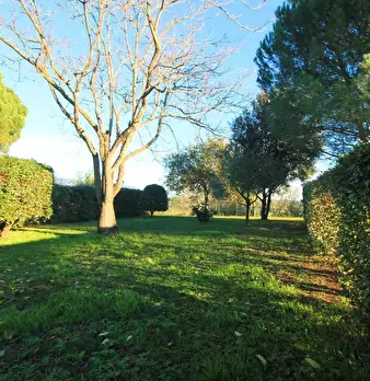 Foto annuncio 24