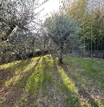 Foto annuncio 9
