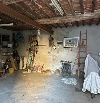 Foto annuncio 10