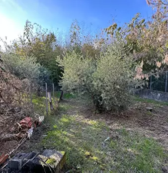 Foto annuncio 8