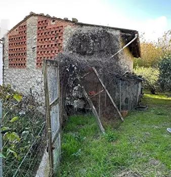 Foto annuncio 7