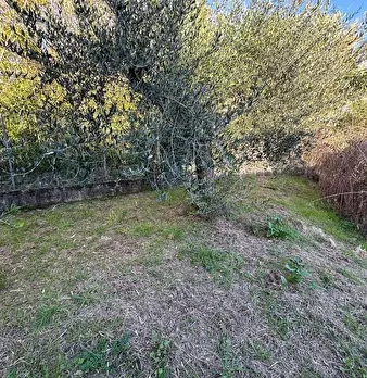 Foto annuncio 5