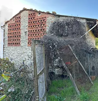 Foto annuncio 6