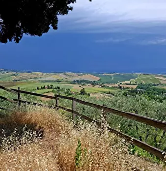 Foto annuncio 40
