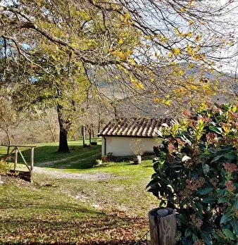 Foto annuncio 12