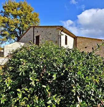 Foto annuncio 1