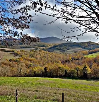 Foto annuncio 8