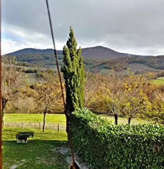 Foto annuncio 40
