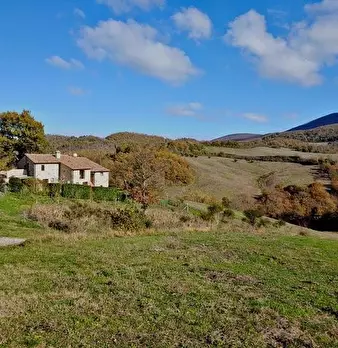 Foto annuncio 30