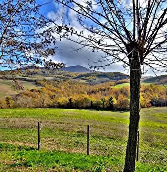 Foto annuncio 7