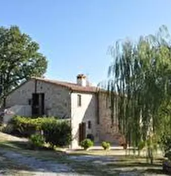 Foto annuncio 20