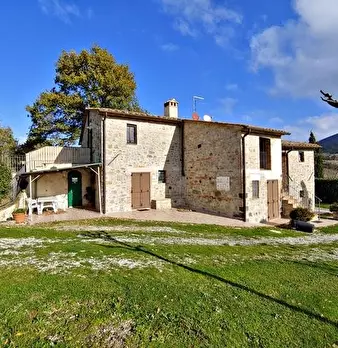 Foto annuncio 10