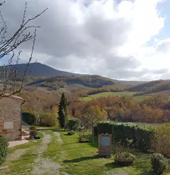 Foto annuncio 25