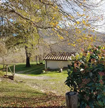Foto annuncio 23