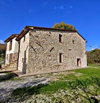 Foto annuncio 9
