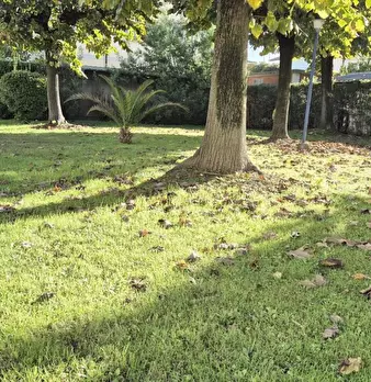 Foto annuncio 82
