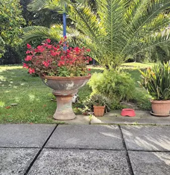 Foto annuncio 87