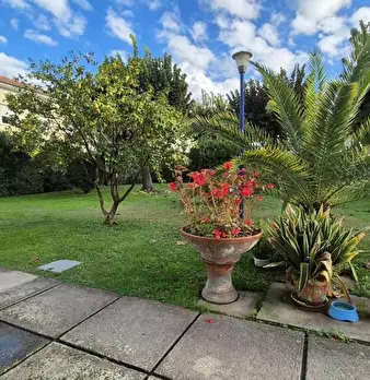 Foto annuncio 84